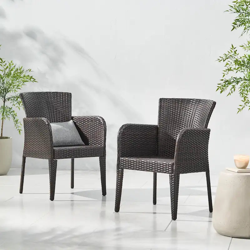 Anaya Outdoor Wicker Dining Chair (Set of 2) by Christopher Knight Home - N/A