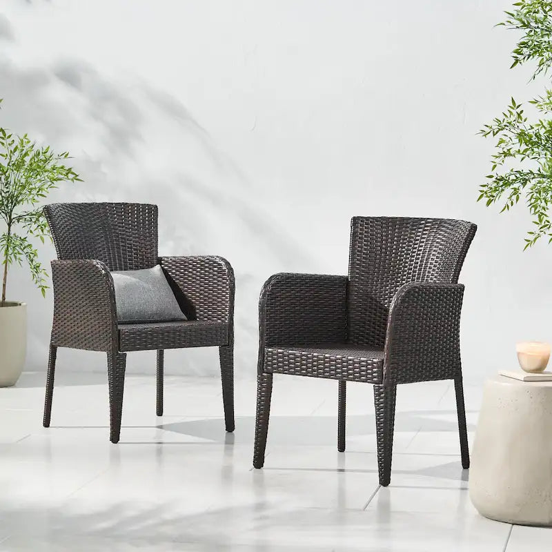 Anaya Outdoor Wicker Dining Chair (Set of 2) by Christopher Knight Home - N/A