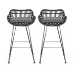 Dale Outdoor Wicker 30 Inch Barstools (Set of 2) by Christopher Knight Home