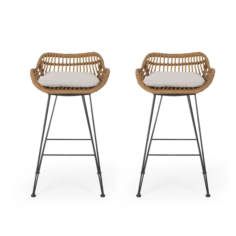 Dale Outdoor Wicker 30 Inch Barstools (Set of 2) by Christopher Knight Home
