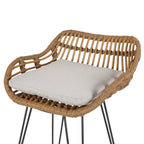 Dale Outdoor Wicker 30 Inch Barstools (Set of 2) by Christopher Knight Home