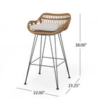 Dale Outdoor Wicker 30 Inch Barstools (Set of 2) by Christopher Knight Home