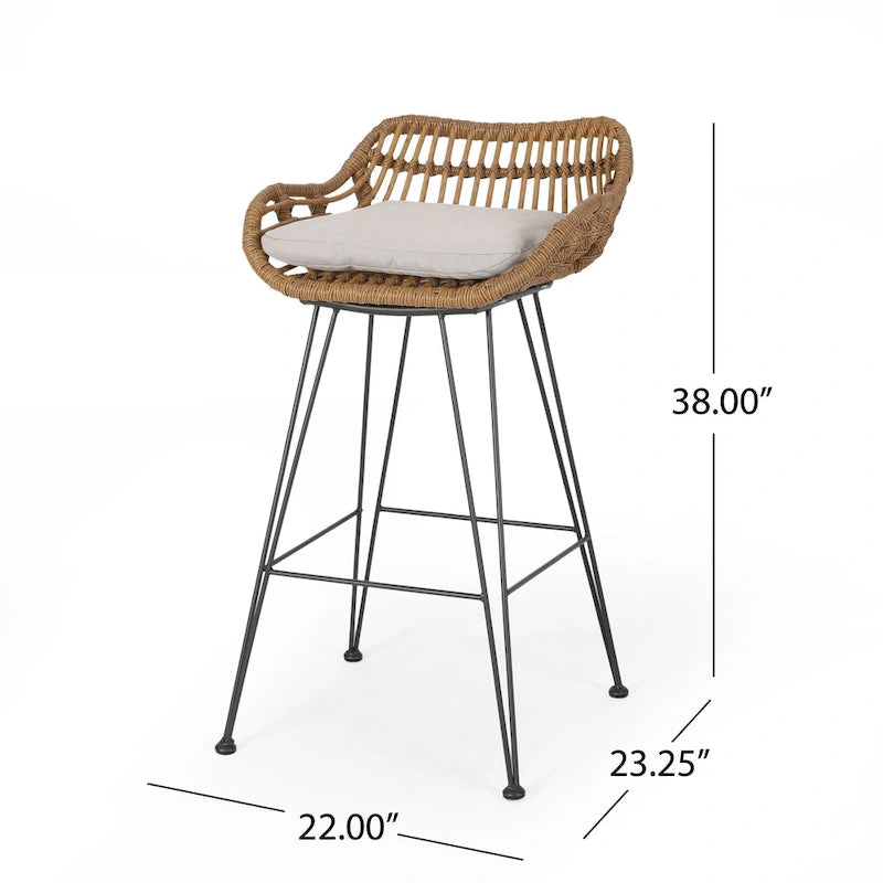 Dale Outdoor Wicker 30 Inch Barstools (Set of 2) by Christopher Knight Home