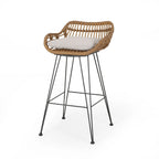 Dale Outdoor Wicker 30 Inch Barstools (Set of 2) by Christopher Knight Home