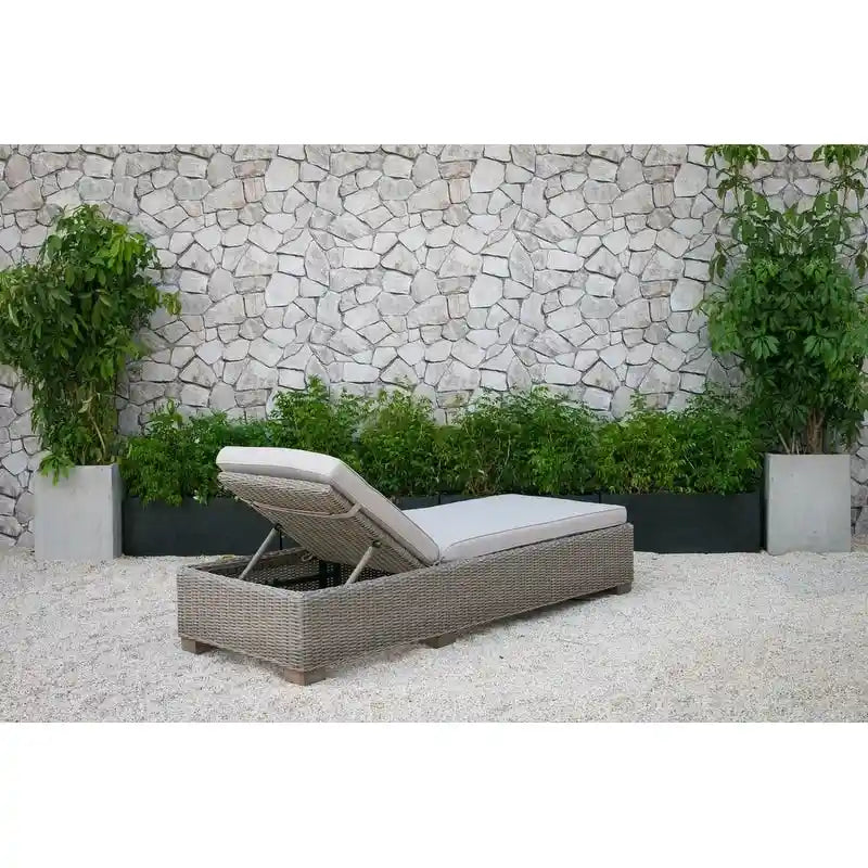 Renava Knox Outdoor Wicker Sunbed Chaise Lounge
